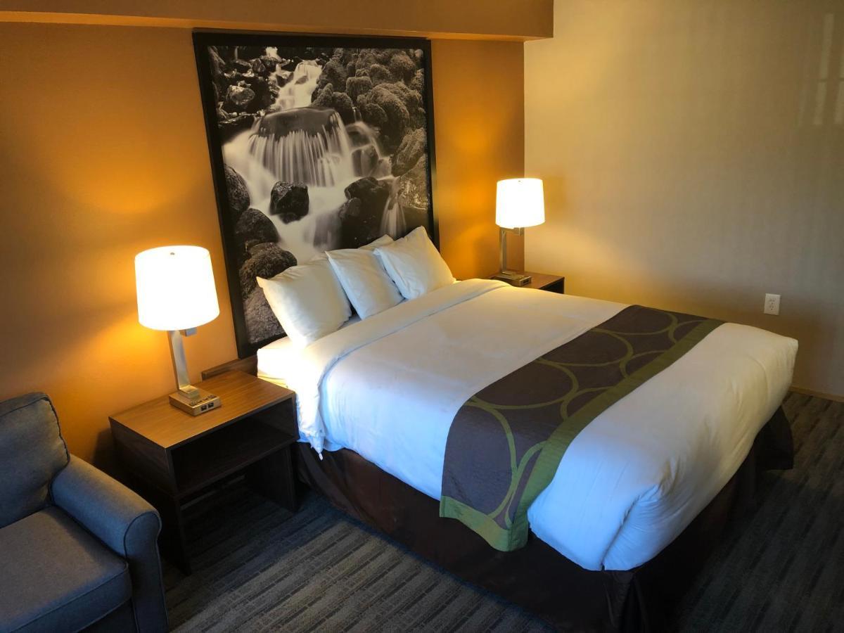 Super 8 By Wyndham Lynnwood Motel Luaran gambar